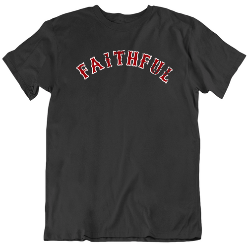 Boston Faithful Baseball Fan Distressed V2 T Shirt - 6440755157