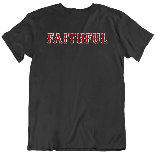 Boston Faithful Baseball Fan Distressed T Shirt - 8917642274